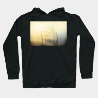 Dreamy Water Reflections Hoodie